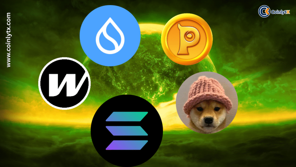 Crypto Explode
Cryptocurrency
PIKA
SOLANA
SUI
WIF
WORMHOLE