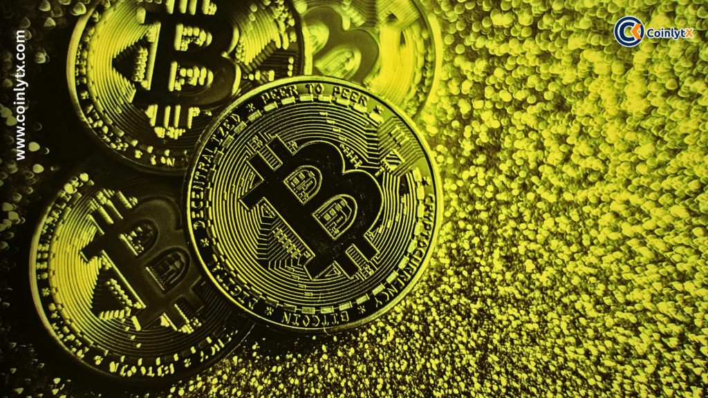 Crypto Treasuries: The Smarter Way for Companies to Embrace Crypto
Cryptocurrencies