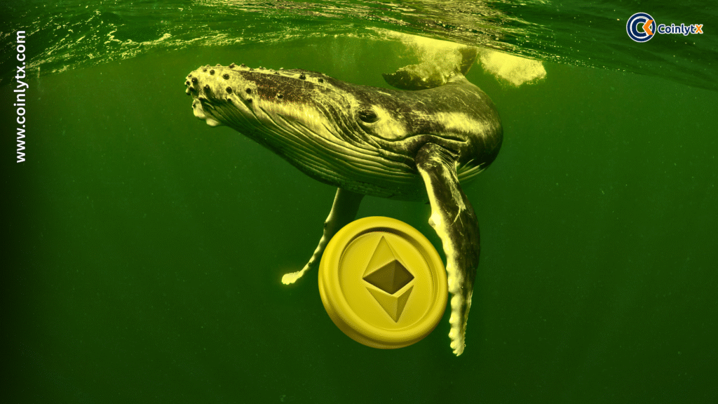 Big Money Moves: Ether Whales Add 14% More ETH Post-April Crash
Ethereum Whale
ETH