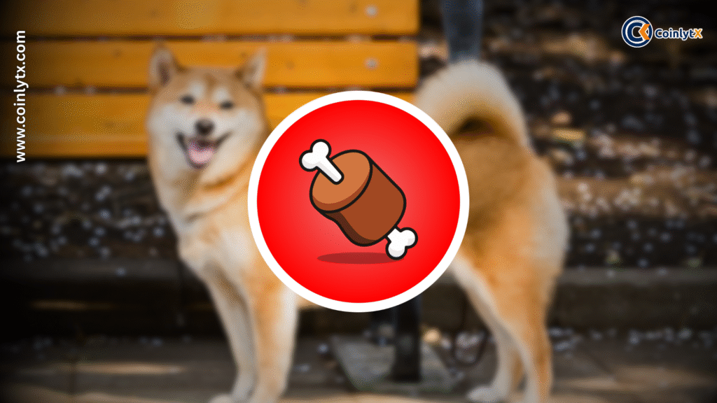 Shibarium Hack Stopped in Its Tracks: BONE Token at the Center
SHIBAINU ECOSYSTEM