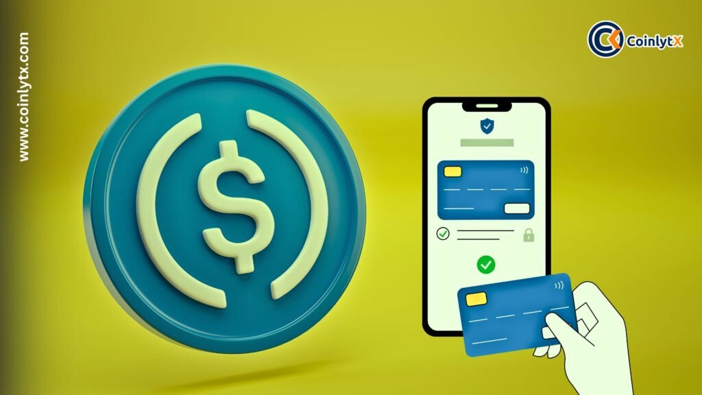 Stablecoin Payment Volume Hits New Peak Amid Crypto Adoption Wave